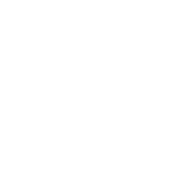 Avanci LGPD Stamp